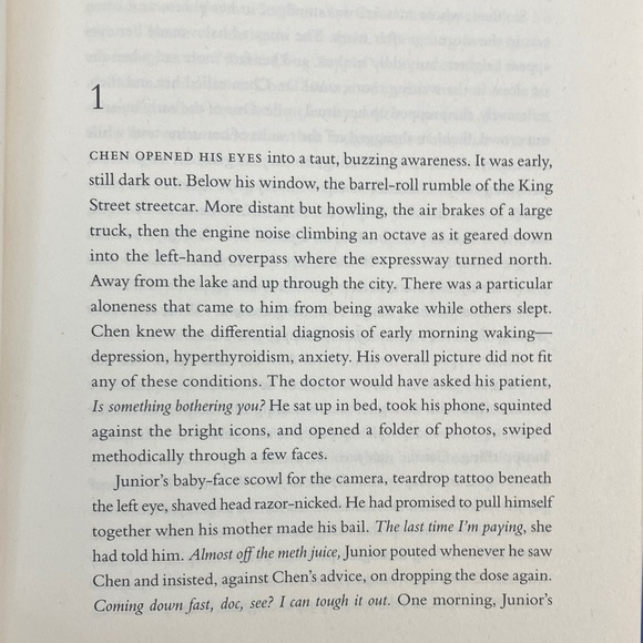 Vincent Lam 'On the Ravine' hardcover Book - Picture 8 of 11